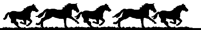 Ferme équestre des Centaurées