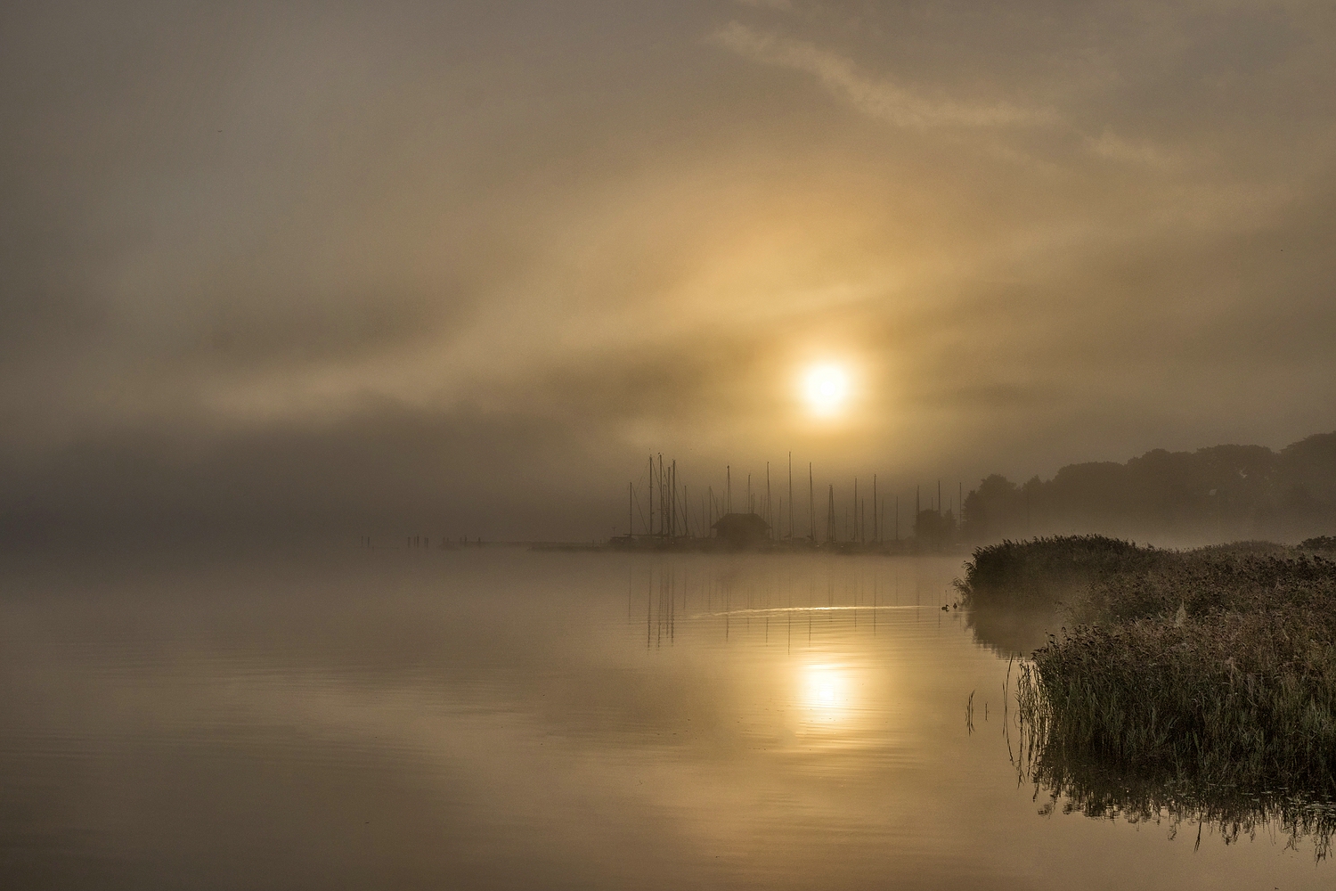 Bodo Puttins:  Morgenstund