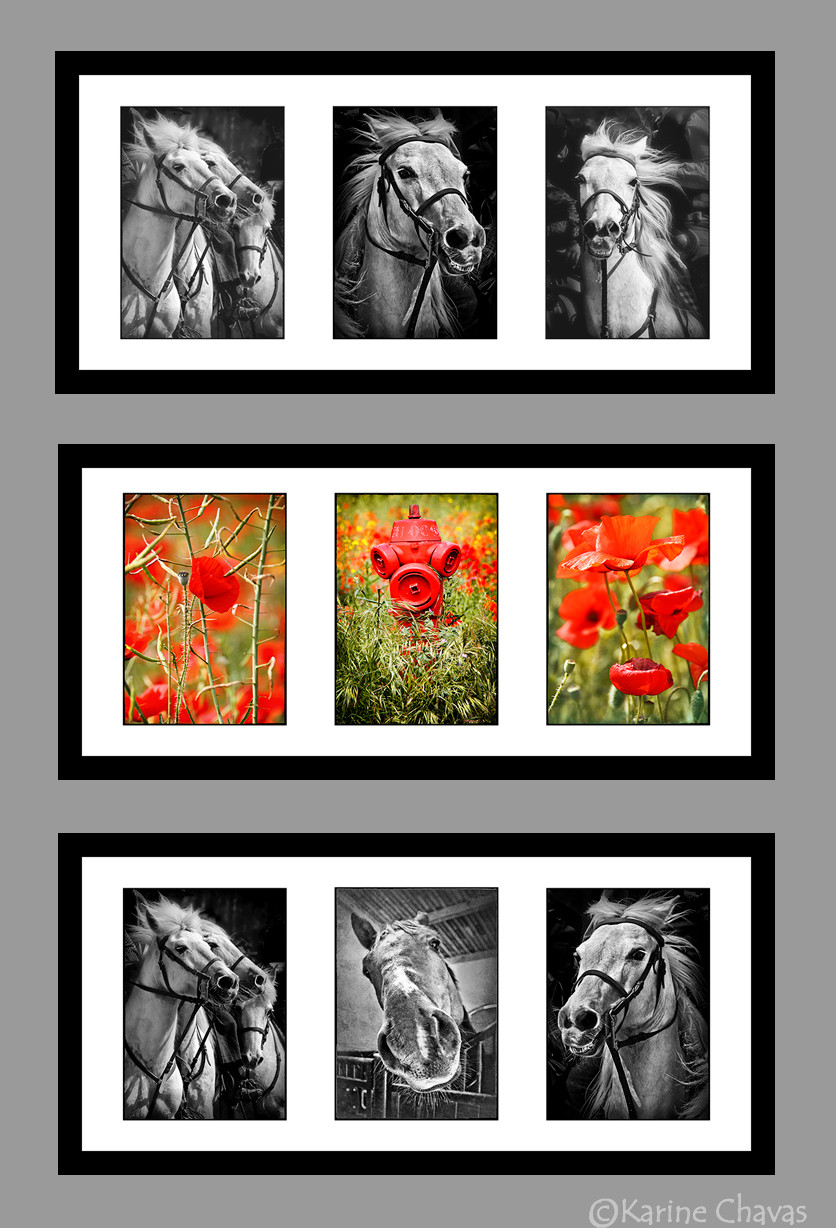 Chevaux3 - Papavero - Chevaux4
