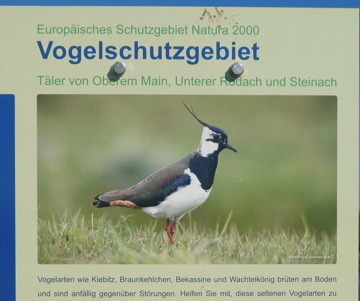 Hilfe für die Wiesenbrüter