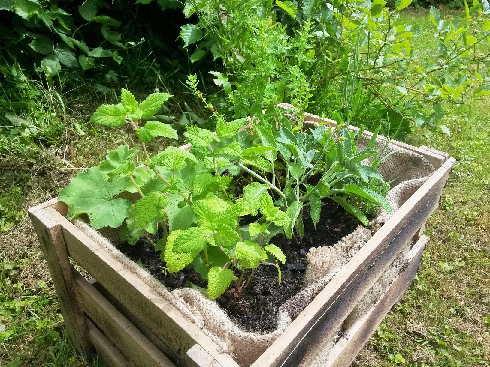 Galerie Kräutergärtnerei Kräuter Art - Gärtnerei Kräuter Art Höheinöd Pfalz