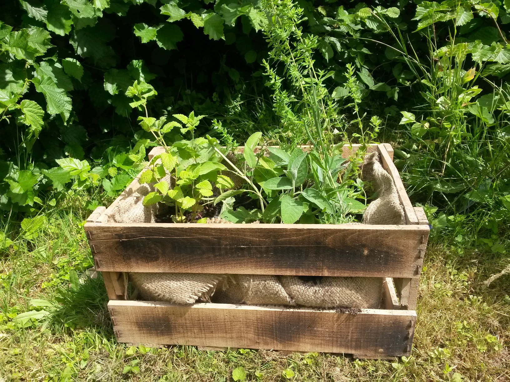 Galerie Kräutergärtnerei Kräuter Art - Gärtnerei Kräuter Art Höheinöd Pfalz