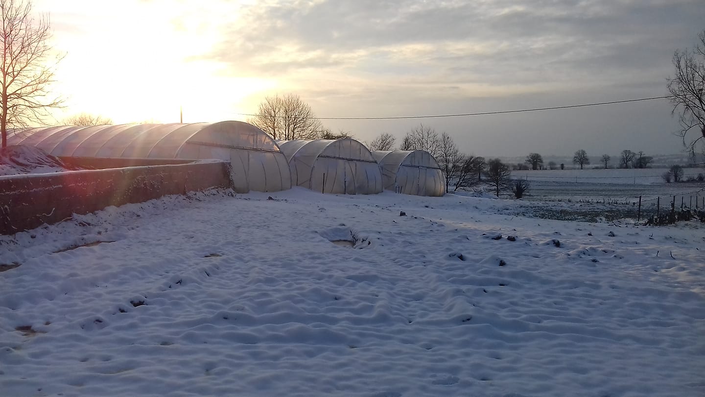 Les  tunnels sous la neige le 10 février !
