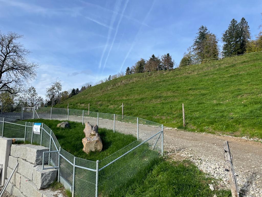 Kleintierauslauf