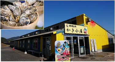 シーズン到来♪唐泊恵比寿のかき小屋がオープン♪♪