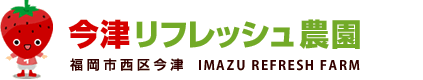 4月30日まで開催♬『いちご収穫体験』＠今津リフレッシュ農園♪