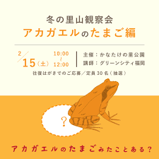 2/15(土)開催♪冬の里山観察会　～カエルの卵編～＠かなたけの里公園♪