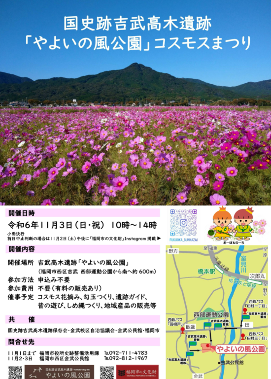 11月3日(日・祝）開催♪コスモスまつり＠やよいの風公園♪