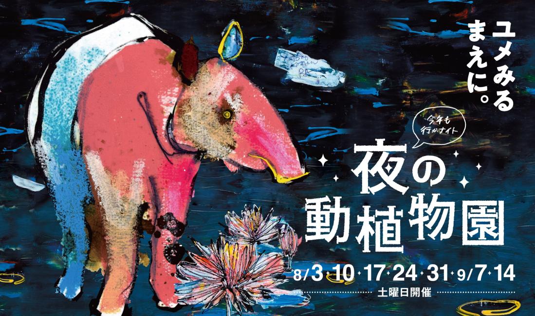 9/14(土)まで毎週土曜日開催♪夜の動植物園＠福岡市動植物園
