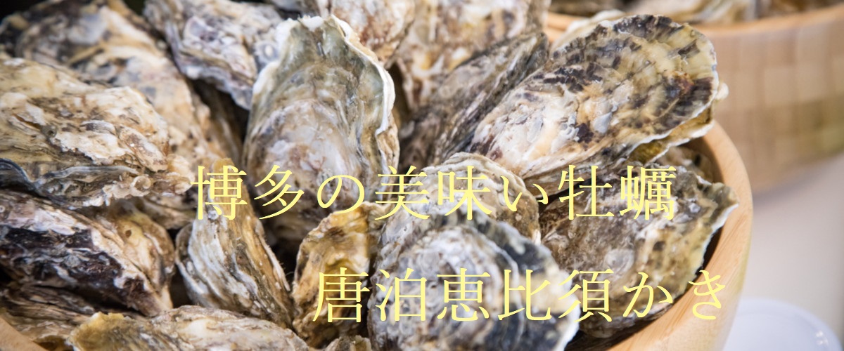 6月末まで販売！唐泊恵比須かきの岩かき♪