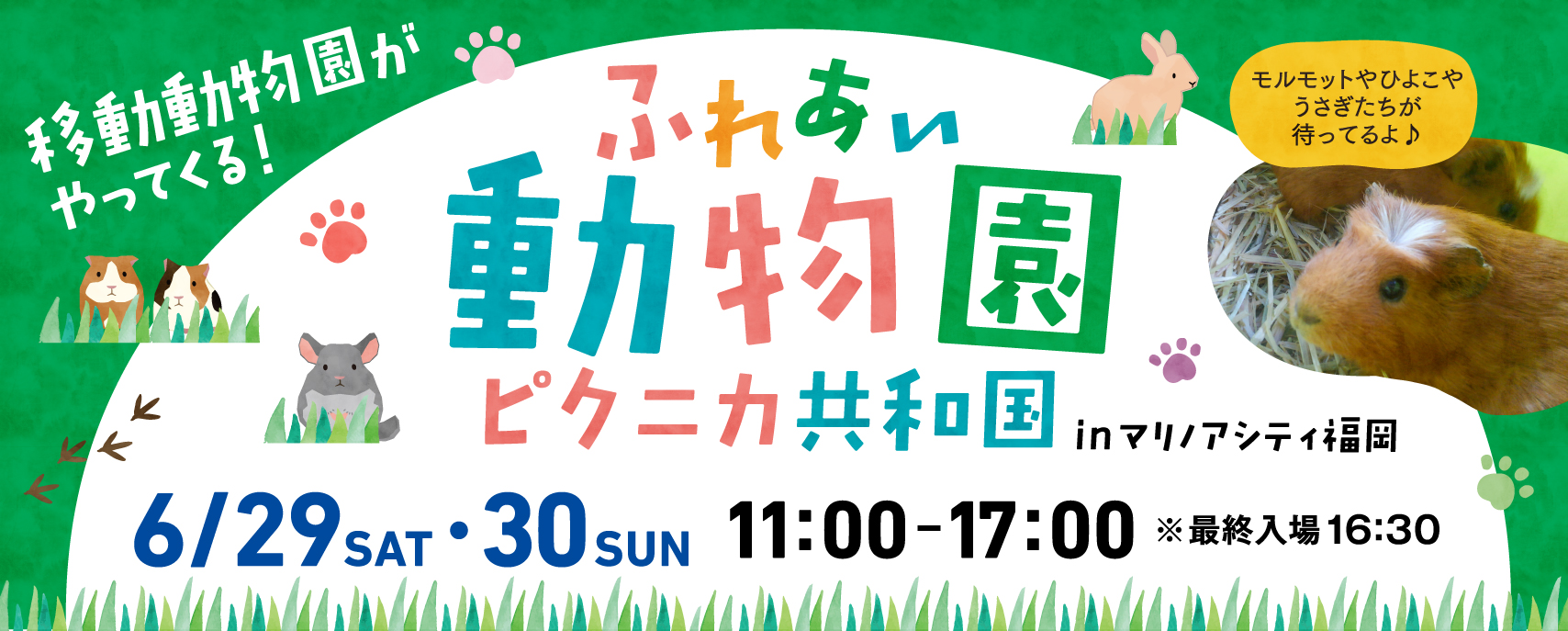 6/29(土)〜6/30(日)開催♪ふれあい動物園ピクニカ共和国 in マリノアシティ福岡♪