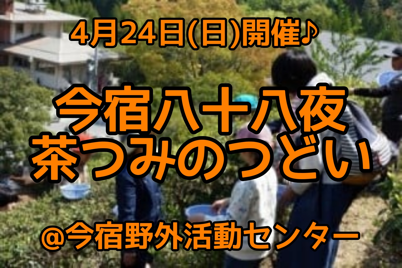 4/24(日)開催♪今宿八十八夜 茶つみのつどい＠今宿野外活動センター♪