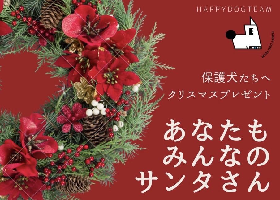保護犬たちにクリスマスプレゼントを Happy Dog Team