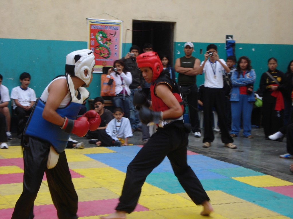 CAMPEONATO NACIONAL DE WUSHU Y TAICHI