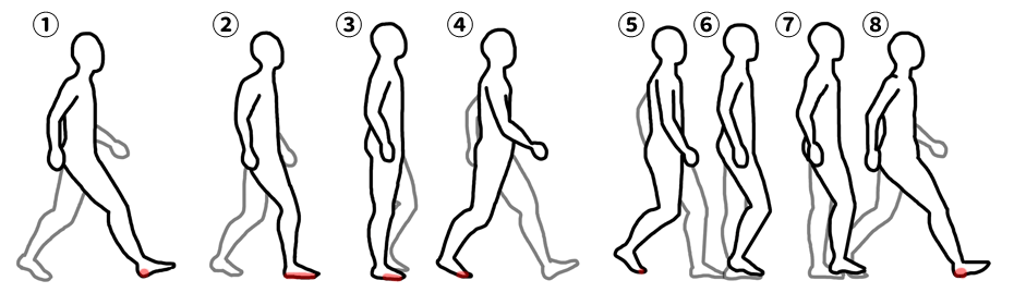 右足部に体重がかかっている箇所を赤く示しています。全体重がかかる②あたりで足長が最も大きく、蹴りだすの③④あたりで足幅・足囲が広くなります。