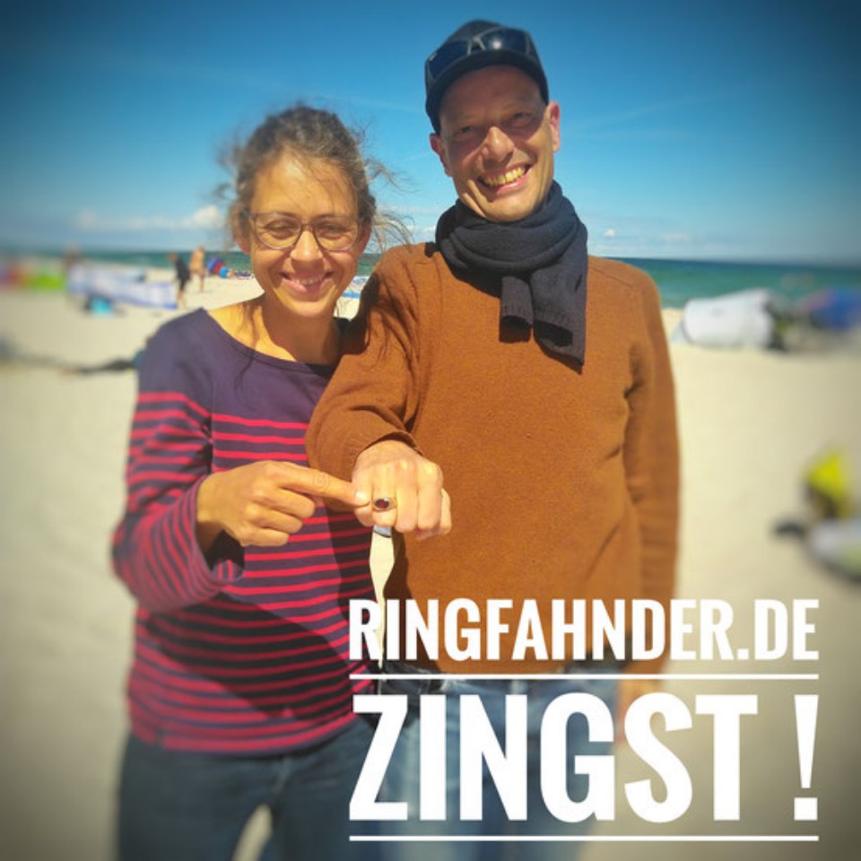 Metalldetektor Zingst! 