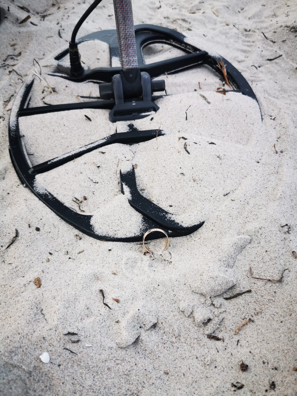 Metalldetektor und Ehering - Ostsee! 