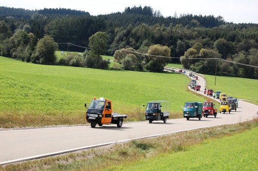 Abknattern im Allgäu 2011