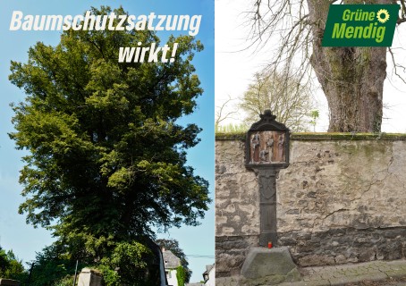 Kreisrechtsausschuss entscheidet über Linde
