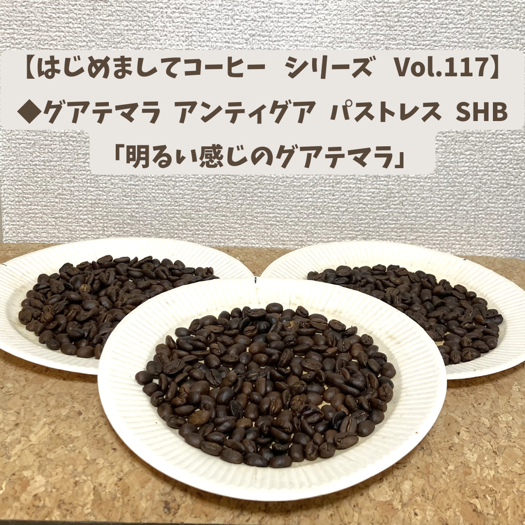【はじめましてコーヒー シリーズ Vol.117】    「グアテマラ アンティグア パストレス SHB」 中浅、中、中深煎り