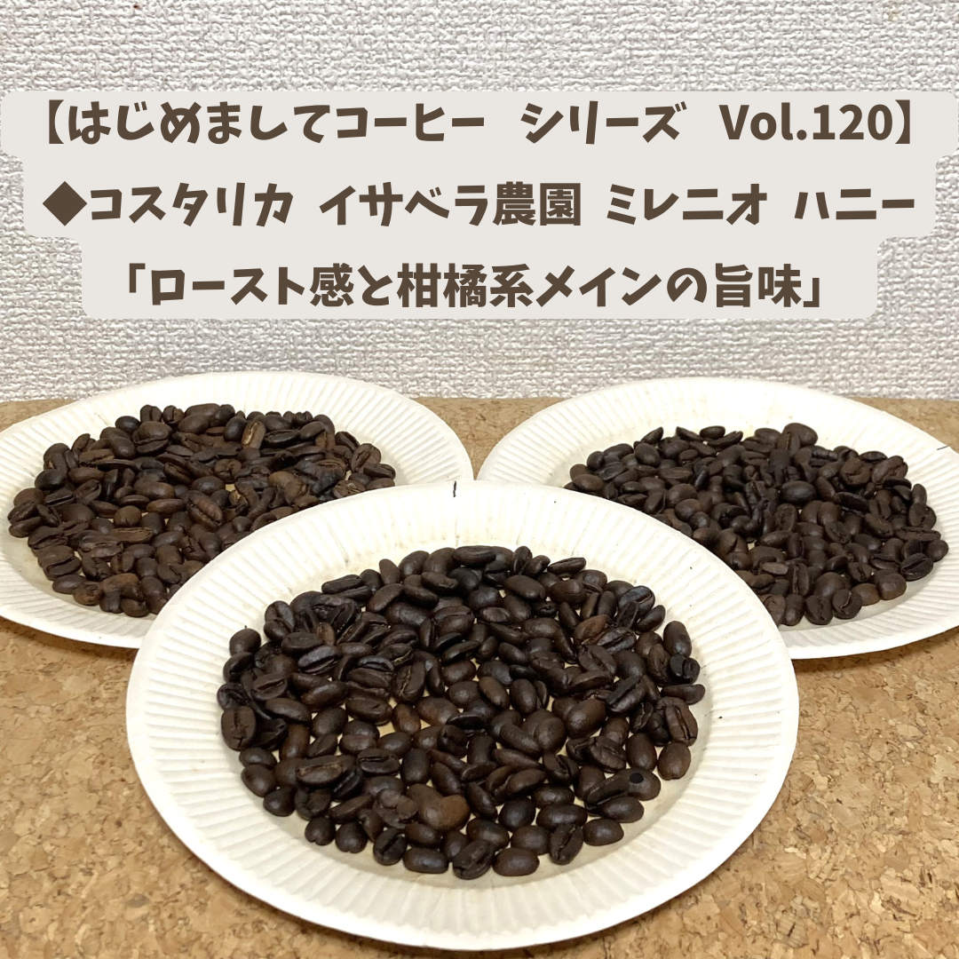 【はじめましてコーヒー  シリーズ  Vol.120】  「コスタリカ  イサベラ農園  ミレニオ  ハニー」    中浅、中、中深煎り