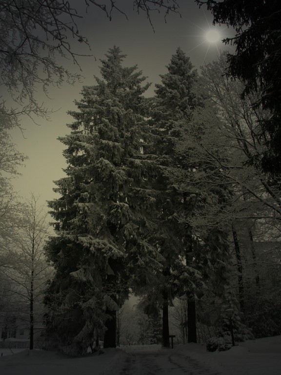 Foto Berabeitet