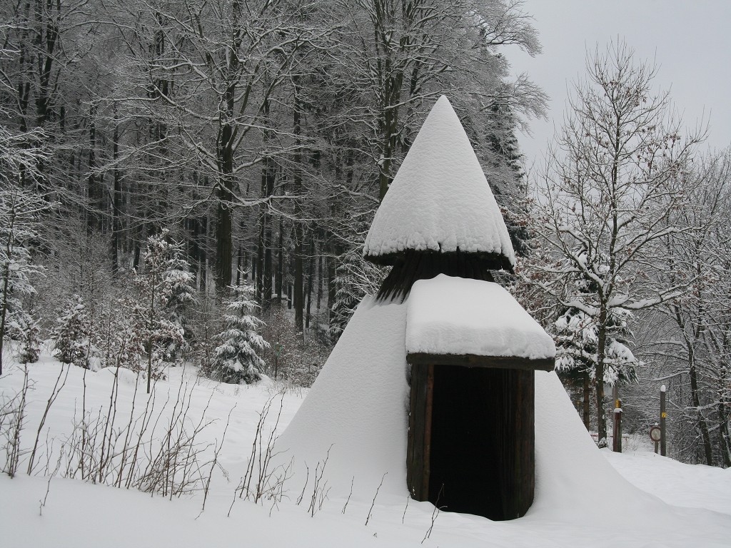 Köhlerhütte oder Schutzhütte am Großen Bildchen