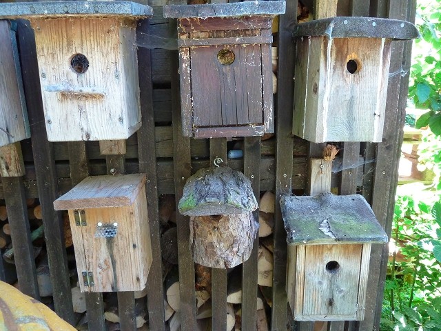 Hier  wohnen Bienen und sonstige