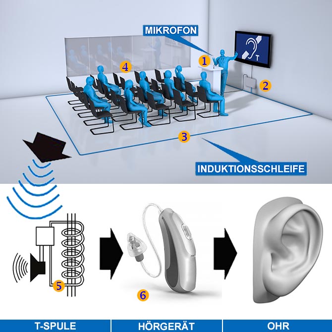 Mikrofon oder Beschallungsanlagen Signal kommt in den Ringleitungsverstärker. Der Verstärker betreibt die Induktionsschleife. Diese erzeugt ein Magnetfeld. Die T-Spule des Hörgerät wandelt dieses in ein Audiosignal zurück und überträgt das Signal ins Ohr.