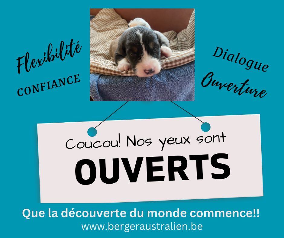 D'amour et d'eau fraîche, avec un peu de lait!