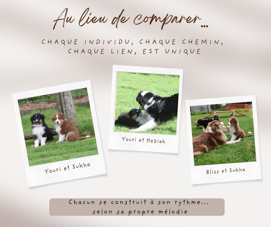 On a si vite fait de comparer!