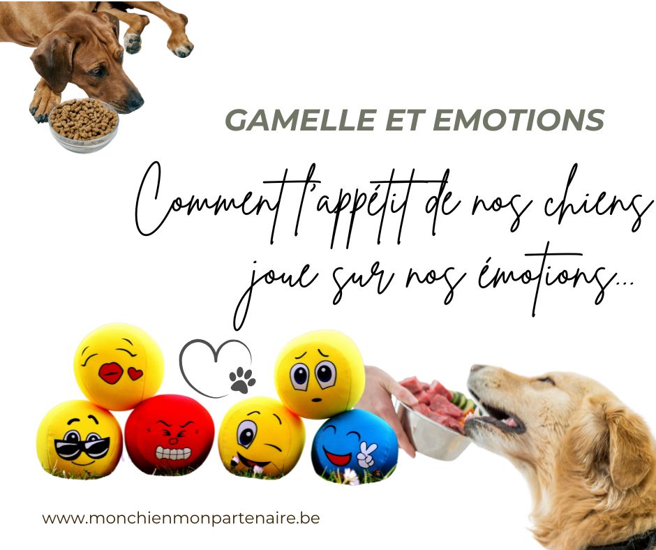 Mangera, mangera pas?  Les émotions et la gamelle
