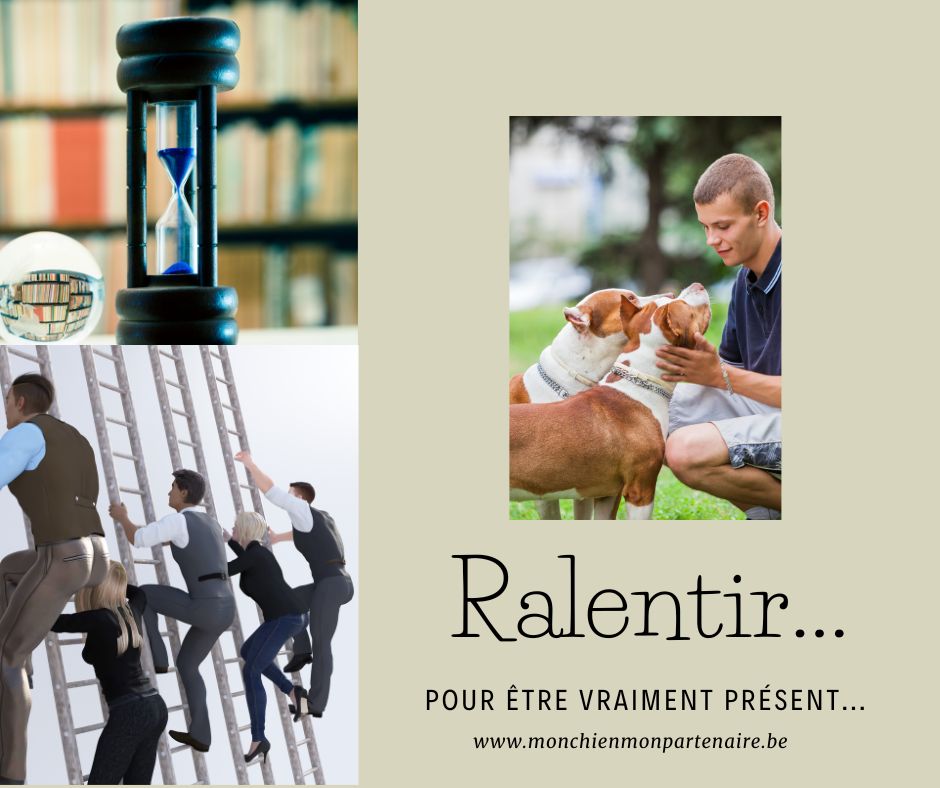 Objectif ou intention, quelle différence?