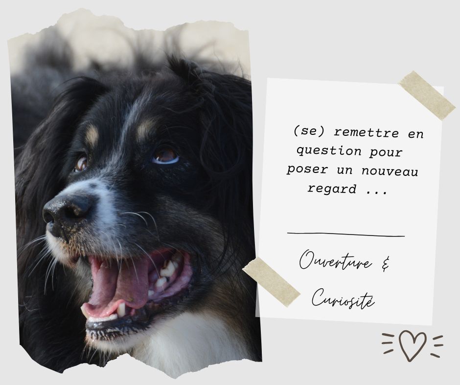 Se remettre en question(s) ou exiger?