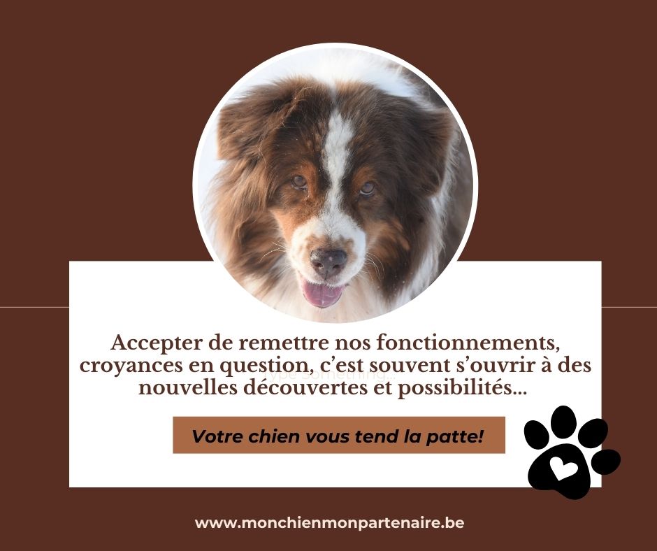 (se) Remettre en question(s) - suite