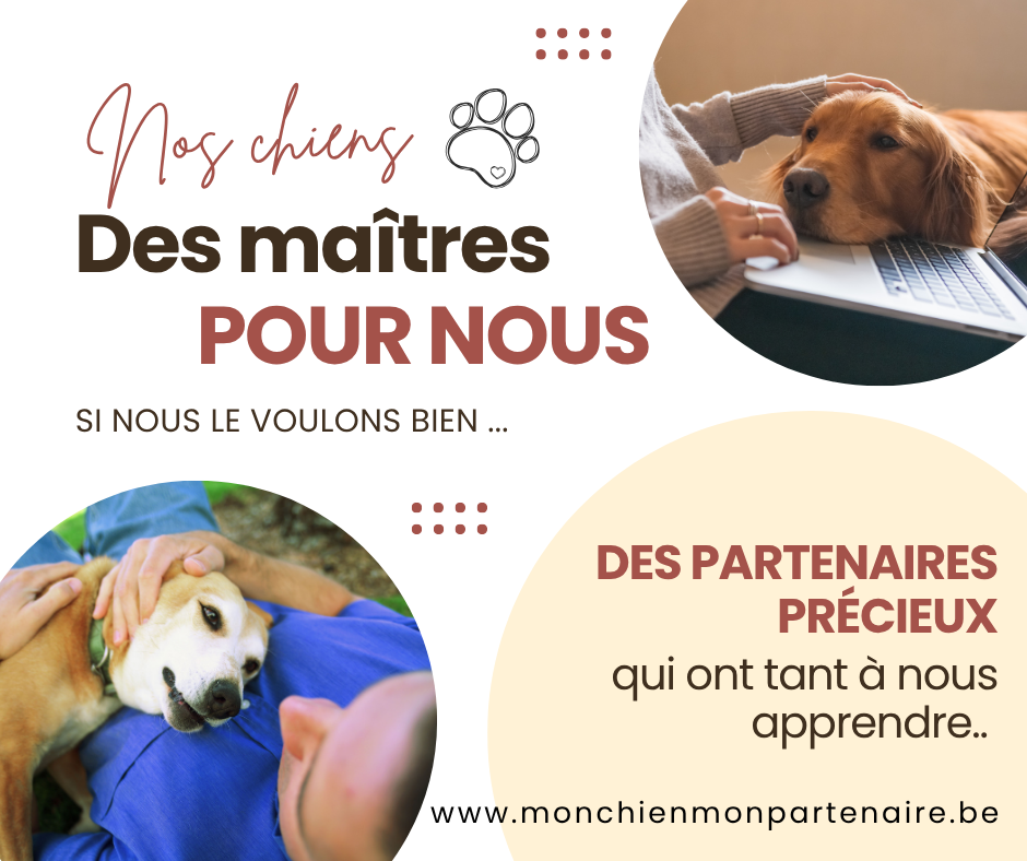 Qui est le maître?  La personne, ou le chien?