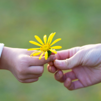 Développer l’empathie chez son enfant : le guide incontournable pour les parents