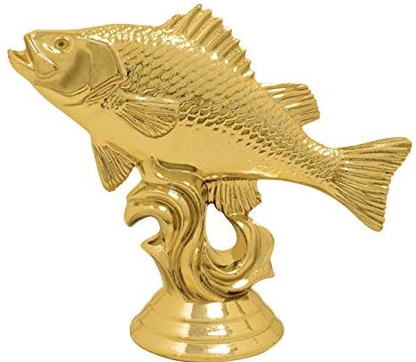 Black Rock Bass Busters 2019 Mr. Bass Champion Jay Dorry
