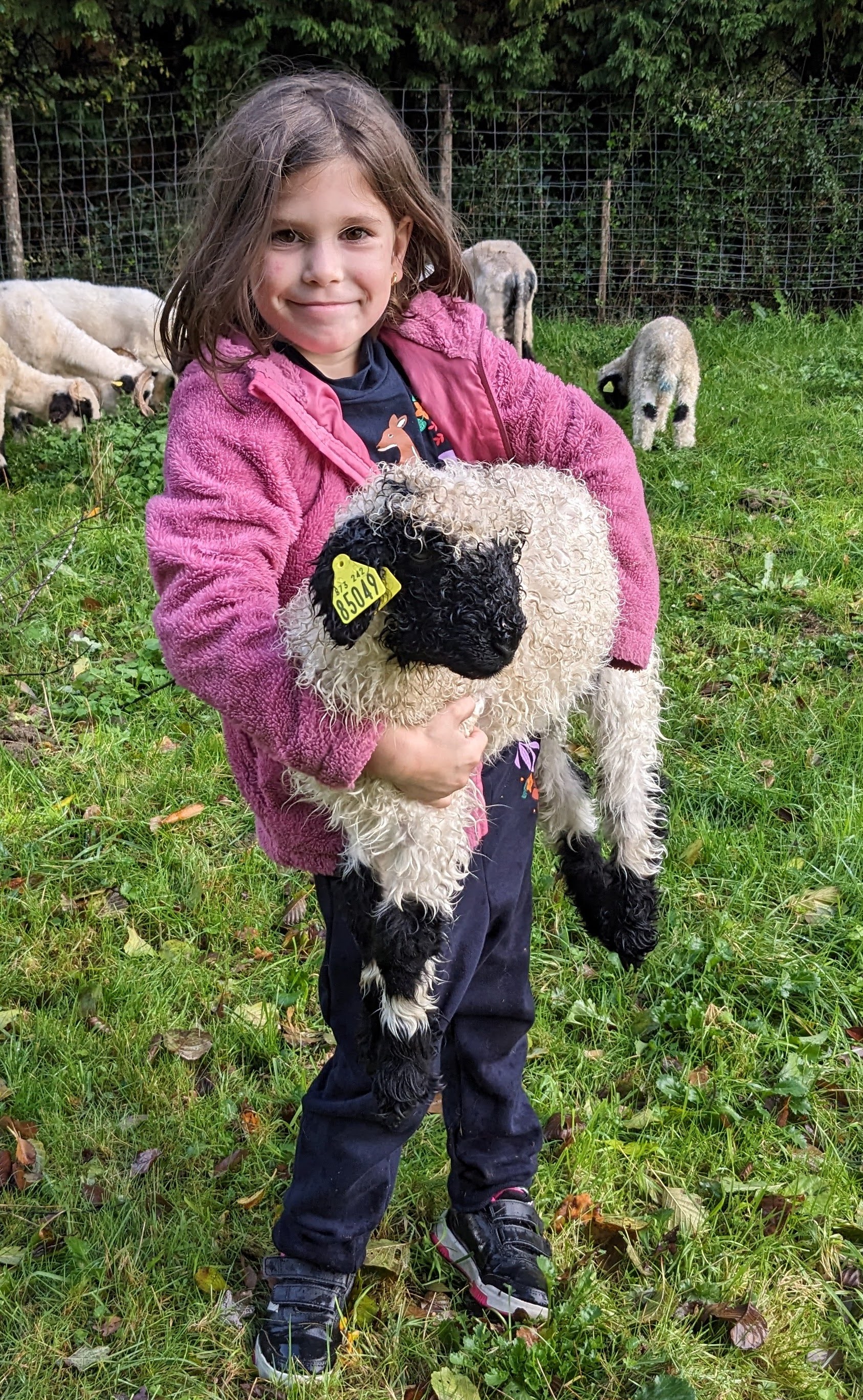 Les Naissances de l' elevage de