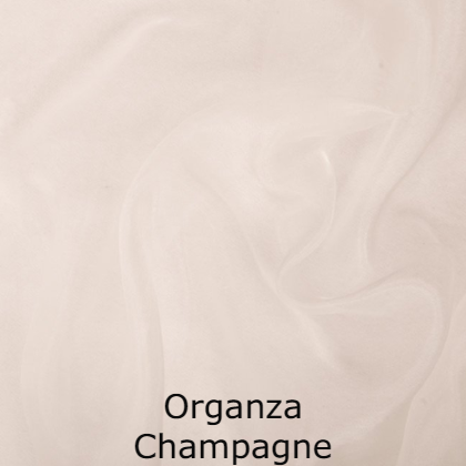 Organza Champagne 3040