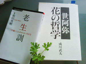 心のサプリになった2誌。老生訓はポケットサイズだから心が疲れたときに是非、お薦め。ちょっとマニアックな方は、原文「風姿花伝」をどうぞ。