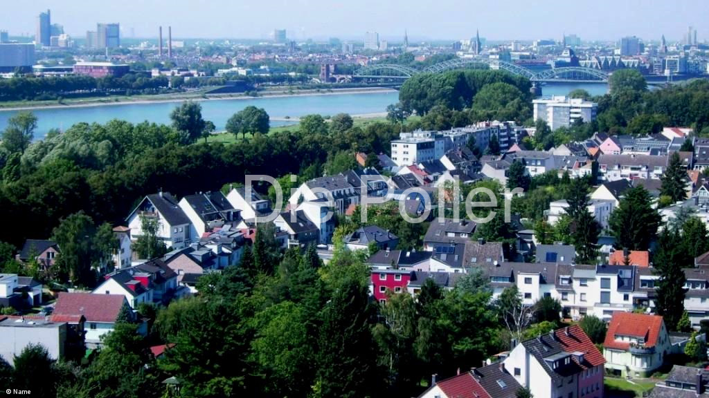 Poll am Rhein