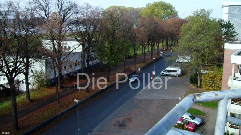 Poll am Rhein