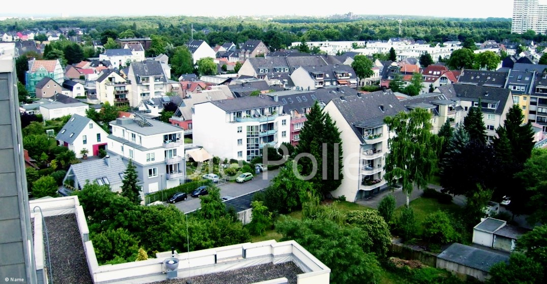 Poll am Rhein
