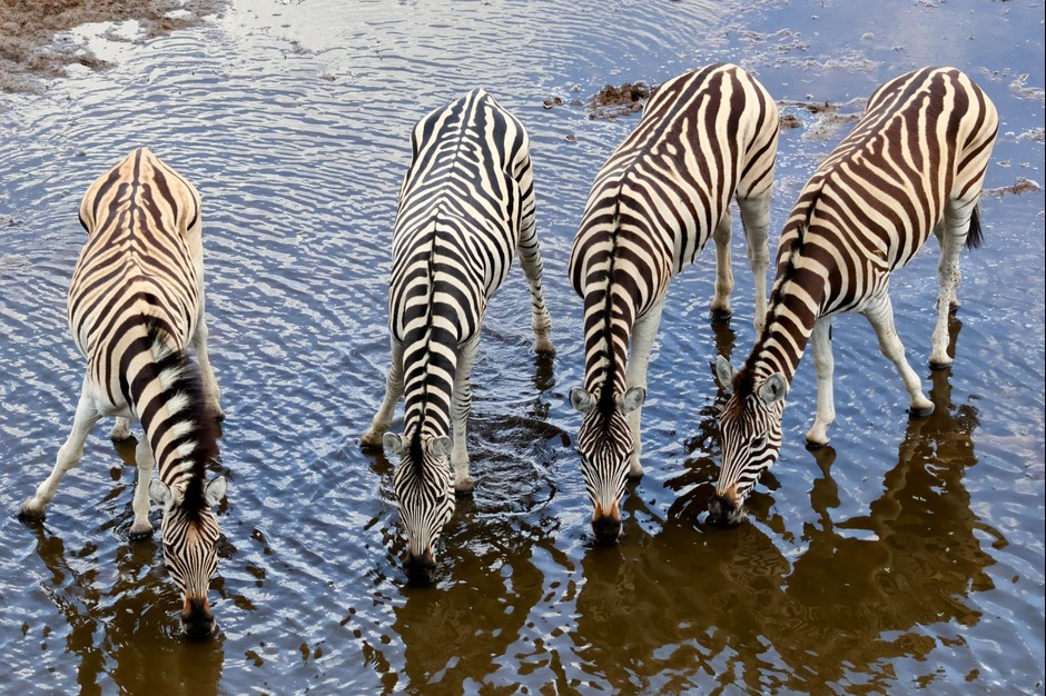 Einzigartige Simbabwe Reisen mit Equatours