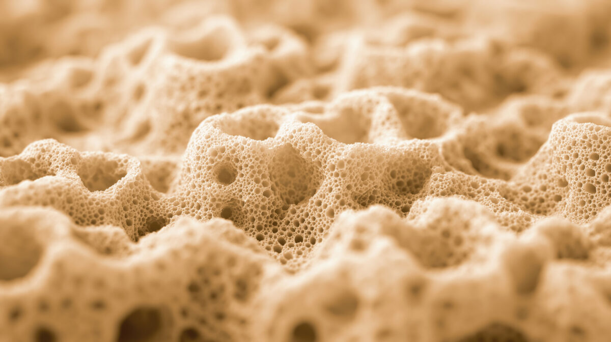 hidroxiapatita dental