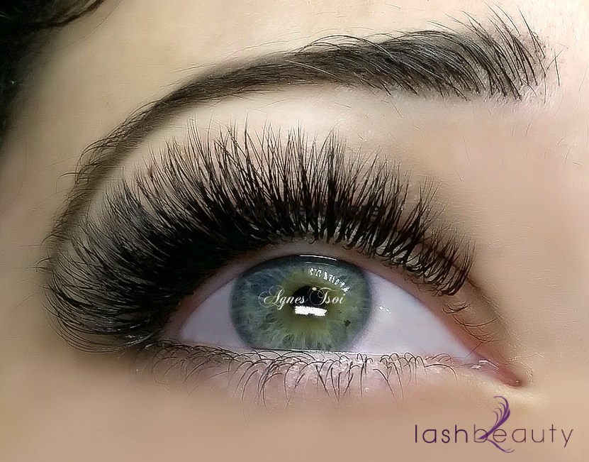Lash Beauty SD Best Eyelash Extensions Online Eyelash Tutorials