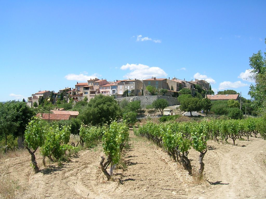 Vignoble Bandol