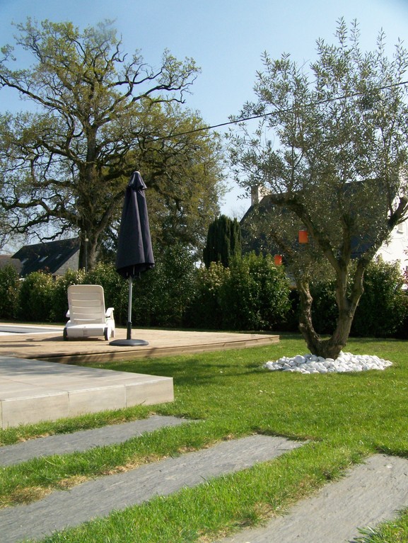 gazon allée