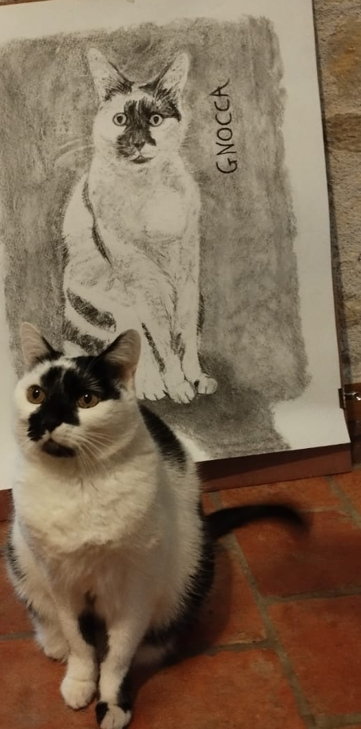 bah quoi?! je pose devant!